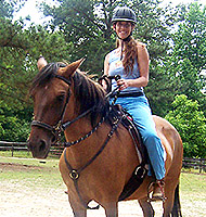Learn how to use training tack for a Paso Fino