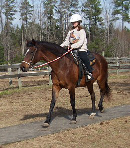 Insignia gives a smooth ride down the souding board