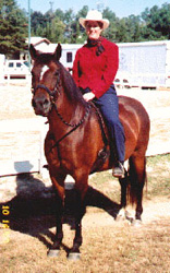 Picassa as a 4 year old at Gracewood Farm