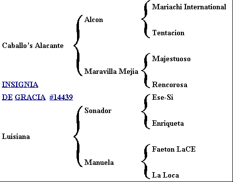 Picassa's pedigree