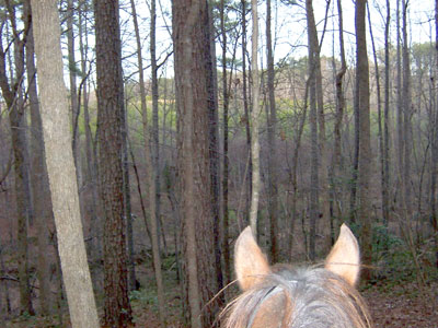 Ladybug and Lynn"s Birtday  ride... January 2007
