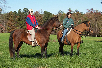 Gracewood Farm's mares Insignia and  Majatisa out enjoying a trail ride with a Paso Fino fan and visitor rom Europe