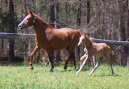Arianna and Magun 4-2-06