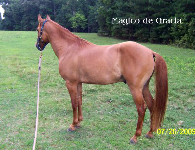 Magico side view - 7/09