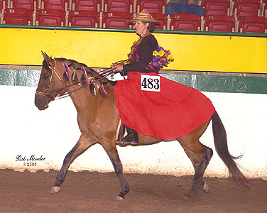 Maja at the 2004 NC State Fair Costume class