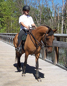 Youth rider on Maja on the American Tobacco Trail bridge