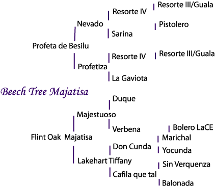 Maja's pedigree