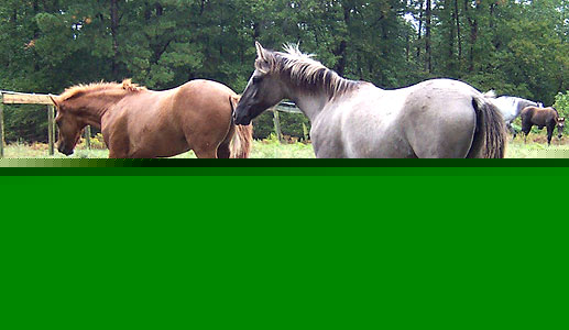 Magico and Marietta