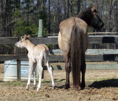 Marietta and Cassie