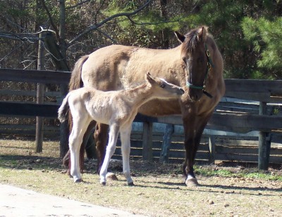 Marietta and Cassie