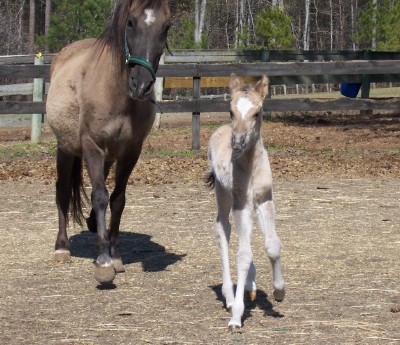 Marietta and Cassie