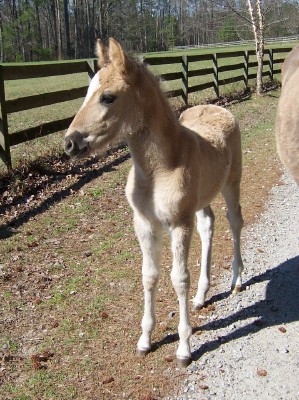 1 mo Marietta