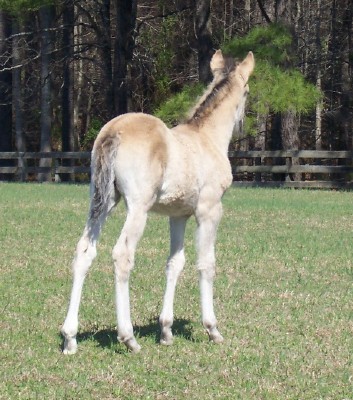 1 mo Marietta