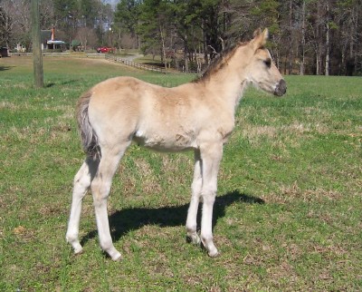 Marietta at 1 month old