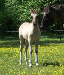 Marietta at 2 months old
