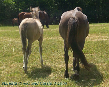 Marietta and Cassie
