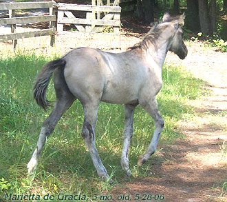Marietta at 3 months