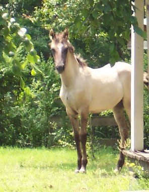 Marietta poses