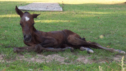 Mariposa after birth