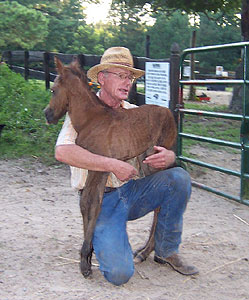 David helps steady Mariposa 