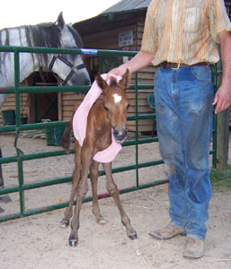 Mariposa gets some help standing