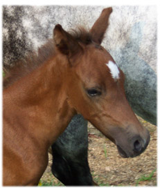 Mariposa at 3 days old
