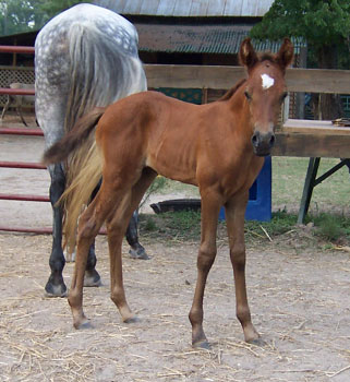 Mariposa at 2 weeks old