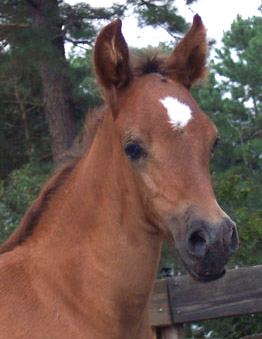 Mariposa at 2 weeks old