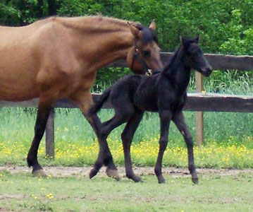 Maja & Merlin - 1 day old