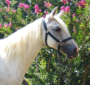 Mia - July 2006