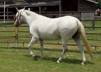 Miaventura