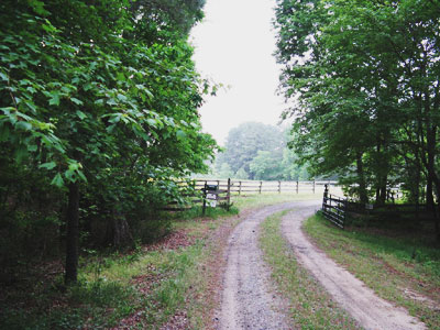Gracewood Farm driveway