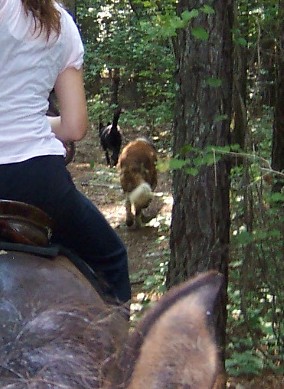 Trail riding at Gracewood