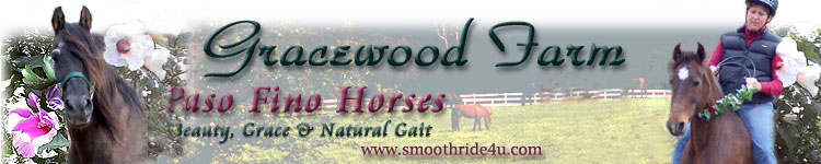 Visit Gracewood Farm Paso Fino Horses