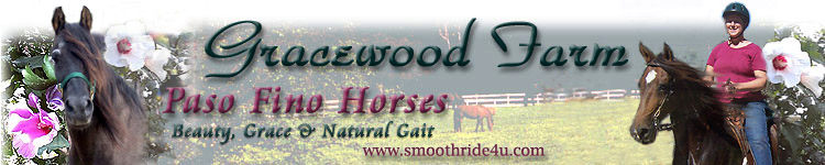 Visit Gracewood Farm Paso Fino Horses