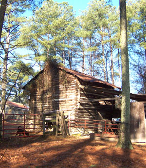 Old log tobacco barn