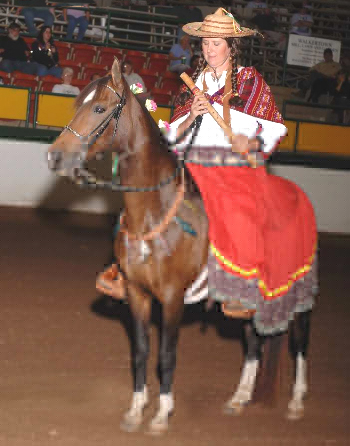 Paso Fino Costume
