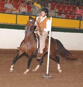 Pole Bending 2007 Winner