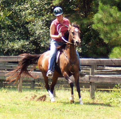 Lynn Gallup warming up Novia Dulce for bridleless riding 