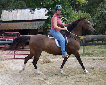 Riding Instructor