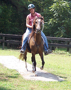 Lynn riding Novia Dulce bridleless