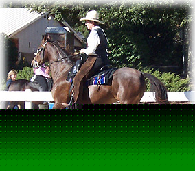 Teson looking forward to his training session