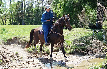 Lynn and Ladybug crossing creek