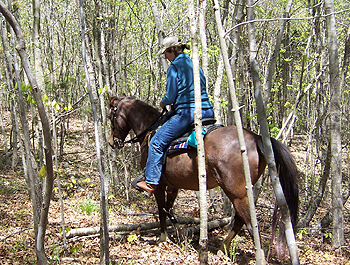 trail obstacle training course