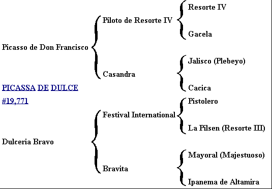Picassa's pedigree