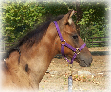 Precision strikes a pose.