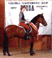 Viajero Hermoso