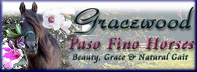 gracewood dating site Gracewood designs, a dating from around 1800 the financial times and its journalism are subject to a self-regulation regime under the ft editorial code of . gracewood dating site Gracewood designs, a dating from around 1800 the financial times and its journalism are subject to a self-regulation regime under the ft editorial code of .