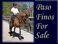 Gracewood Farm's Paso Fino horses for sale: mares, Fillies, Colts, geldings, stallions, retired show horses, broodmares, foals. In business since 1977 in central North Carolina .