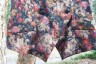 #104 - Bottom detail